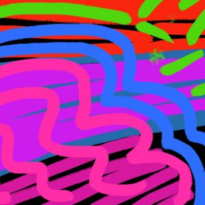 Holi colors