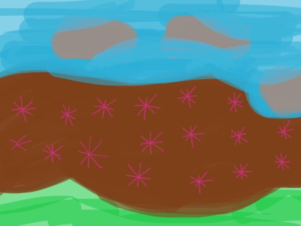 Flowers by the river