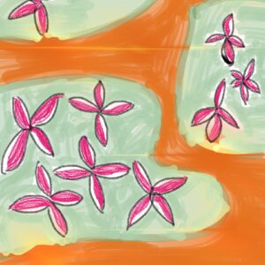 Flowers on land