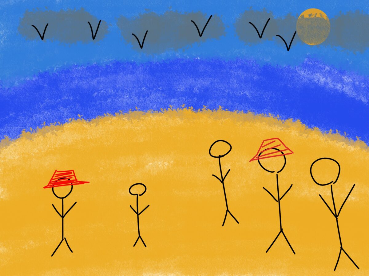 people on the beach