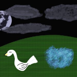 swan of the night