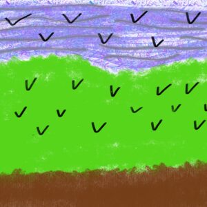 flying crows