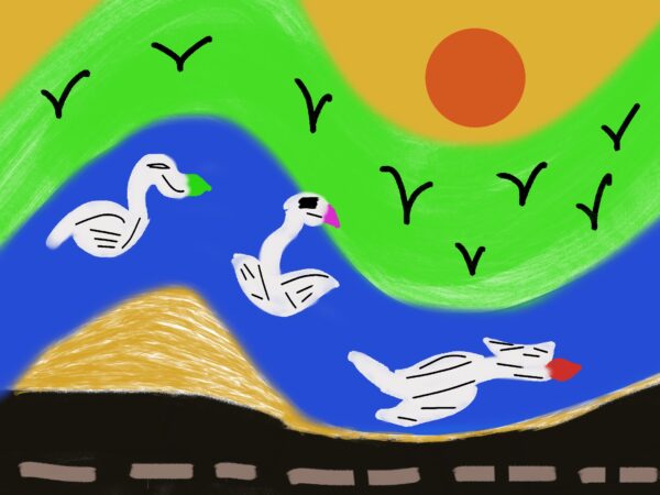 Syd Color projection