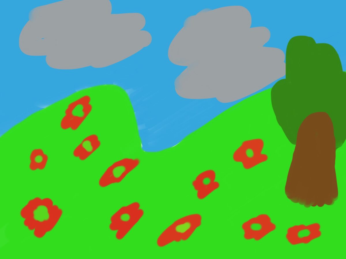 Grey clouds red flowers