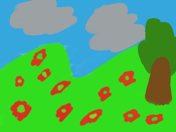 Grey clouds red flowers