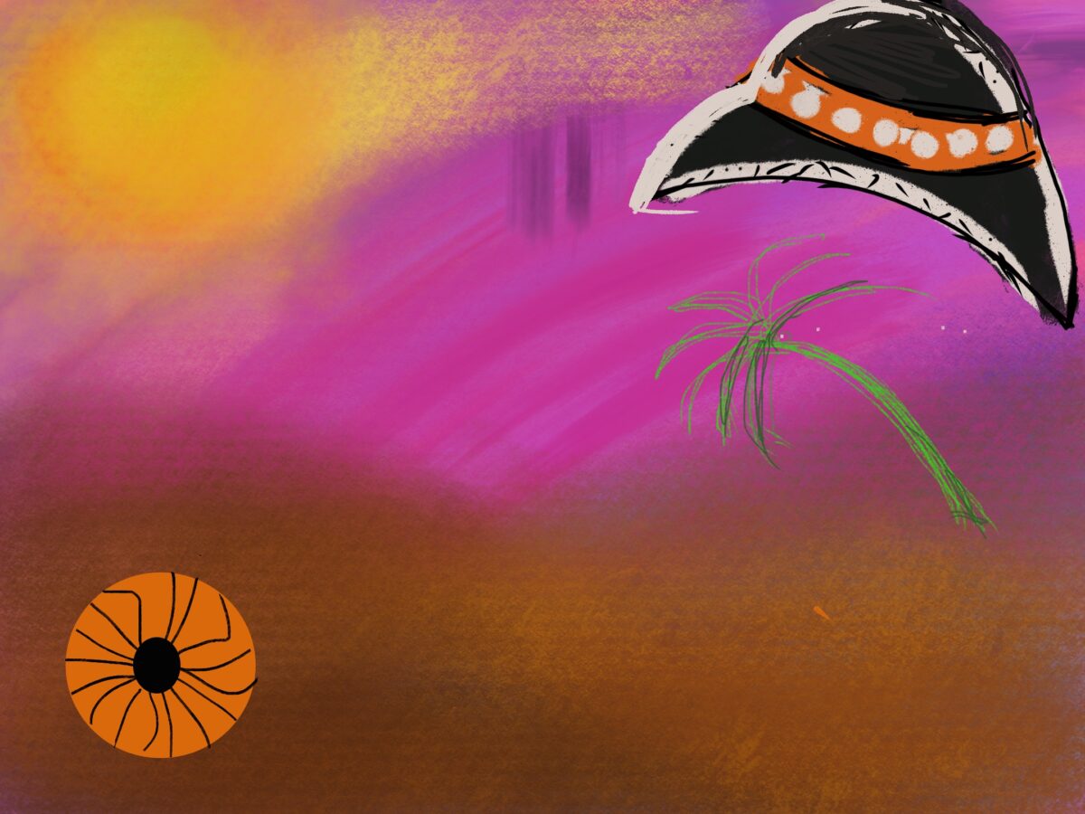 Space-ship landing plane