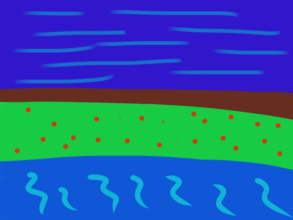 River by the grass