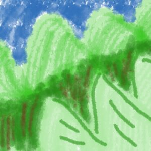 Hills around forest