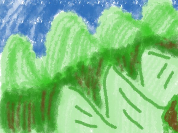 Hills around forest