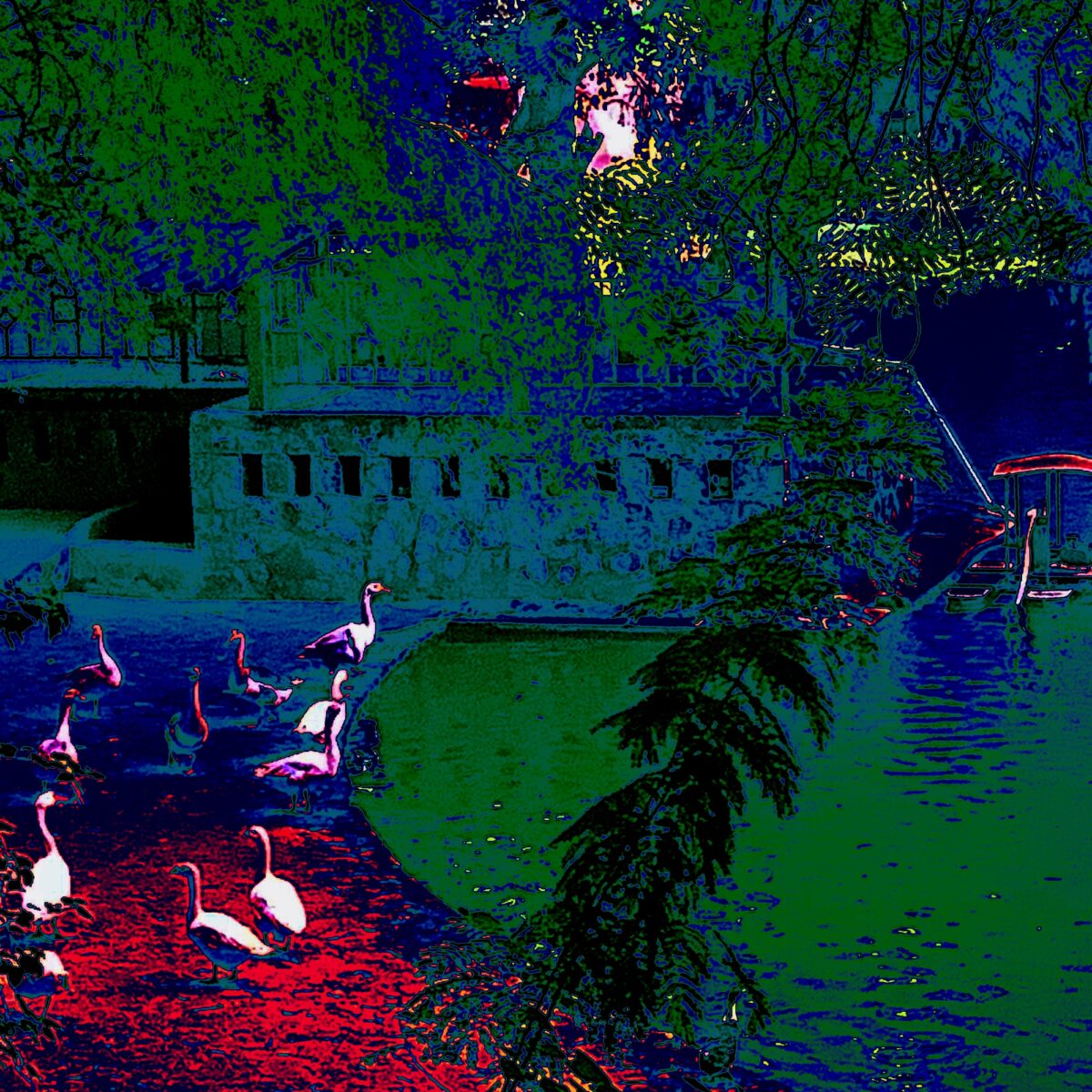 The city park