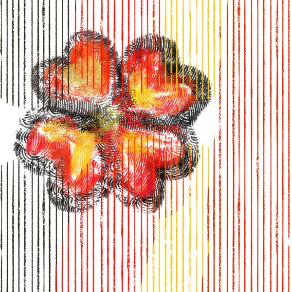 Flower is red